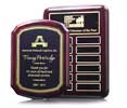 Picture for category Award Plaques