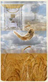 Image with missing alt attribute found on eliyah.com