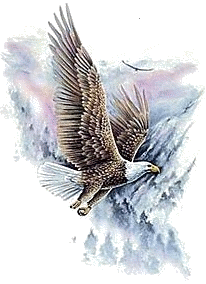 Image with missing alt attribute found on eliyah.com