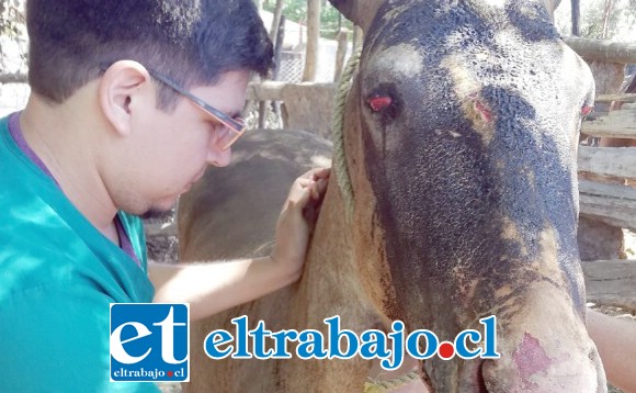 Image with missing alt attribute found on eltrabajo.cl