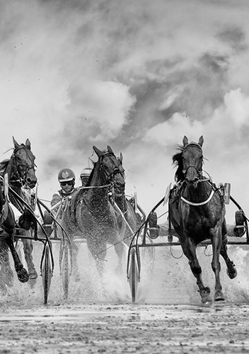 Image with missing alt attribute found on fotocommunity.de