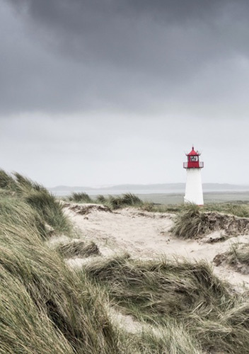 Image with missing alt attribute found on fotocommunity.de