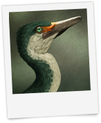 Image with missing alt attribute found on fotomoto.com