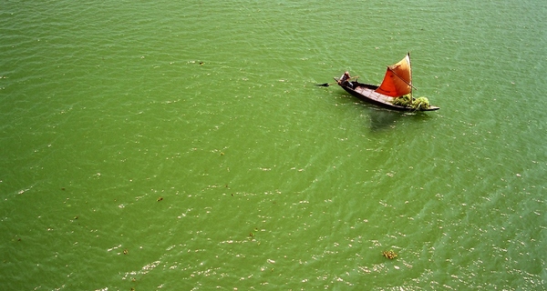 Image with missing alt attribute found on inquiriesjournal.com