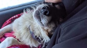 Image with missing alt attribute found on letribunaldunet.fr