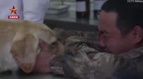 Image with missing alt attribute found on letribunaldunet.fr