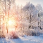 Image with missing alt attribute found on meteo-lyon.net