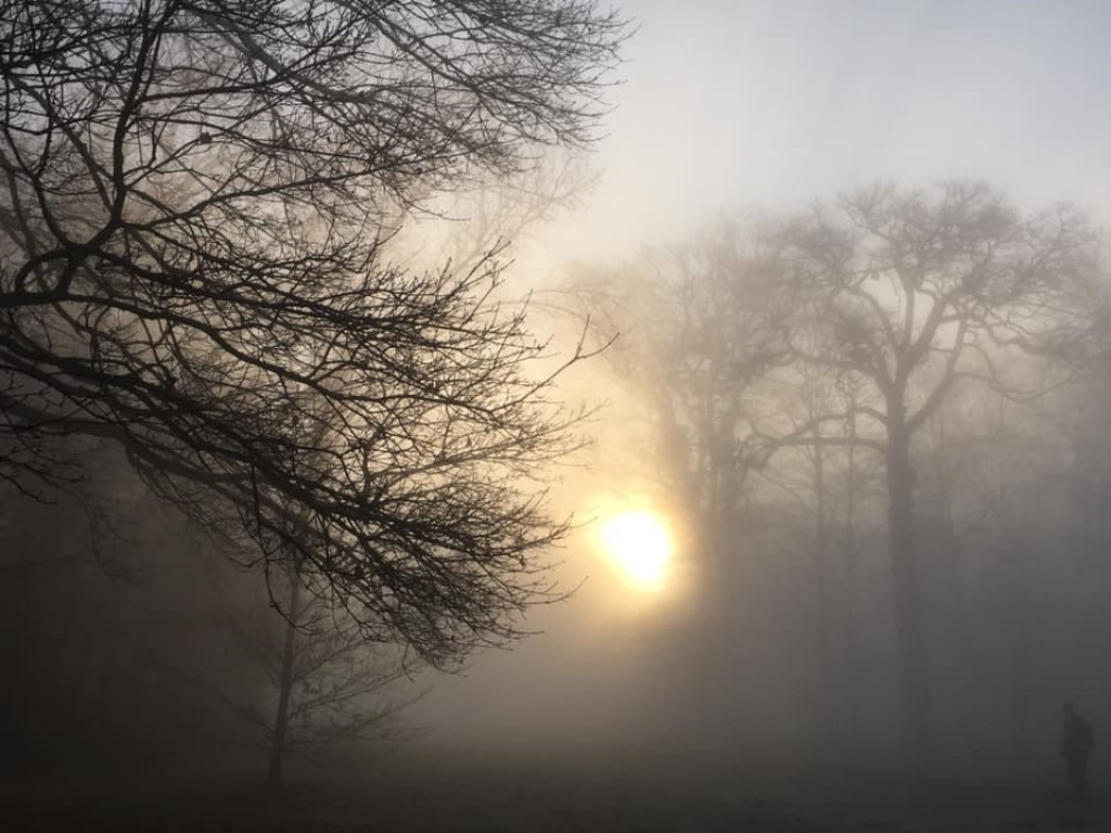 Image with missing alt attribute found on meteo-paris.com