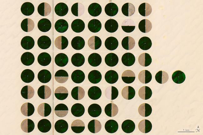 Image with missing alt attribute found on myweather2.com