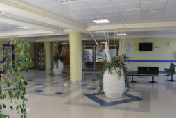 Image with missing alt attribute found on neuromed.it