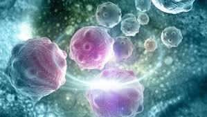 Image with missing alt attribute found on neuromed.it