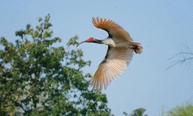 Image with missing alt attribute found on news.cn