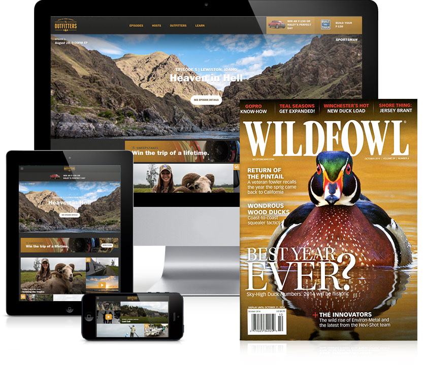 Image with missing alt attribute found on osgnetworks.tv