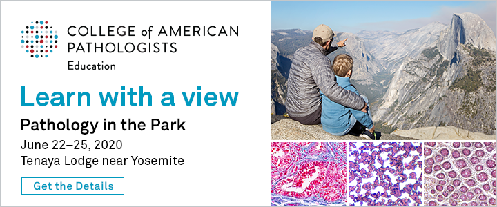 Image with missing alt attribute found on pathologyoutlines.com