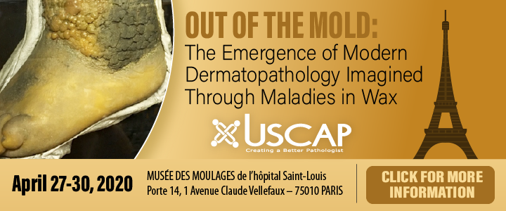 Image with missing alt attribute found on pathologyoutlines.com