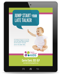 Image with missing alt attribute found on speechandlanguagekids.com