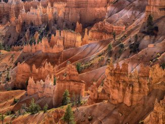 Image with missing alt attribute found on stevehuffphoto.com