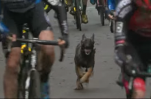 Image with missing alt attribute found on stickybottle.com