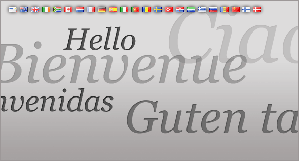 Provide online bookings and customer/supplier communications in a variety of different languages and currencies.