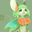Image with missing alt attribute found on transformice.com