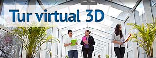 tur virtual