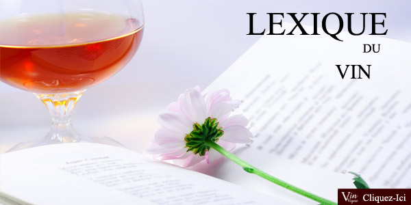 Dictionnaire du vin: vocabulaire de la d&eacute;gustation, de la viticulture, de l&rsquo;&oelig;nologie !