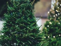 Image with missing alt attribute found on volynpost.com