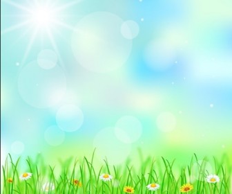 Spring Grass and Followers Background Vector Illustration