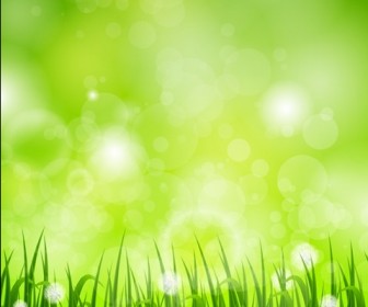 Meadow Flowers Spring Background Vector Illustration