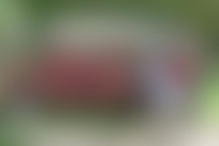 Image with missing alt attribute found on workaway.info