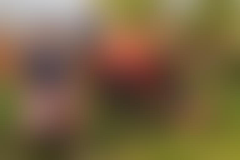 Image with missing alt attribute found on workaway.info