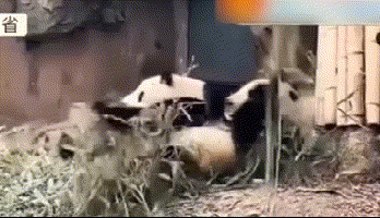 Image with missing alt attribute found on xinhuanet.com