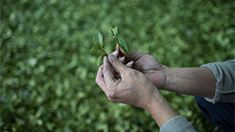 Image with missing alt attribute found on xinhuanet.com