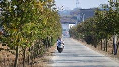 Image with missing alt attribute found on xinhuanet.com