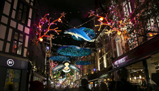 Image with missing alt attribute found on news.cn