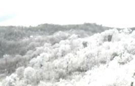 Image with missing alt attribute found on news.cn