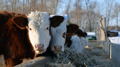 Image with missing alt attribute found on news.cn