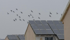 Image with missing alt attribute found on news.cn