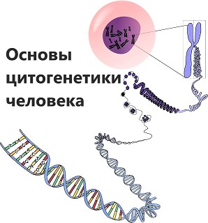 Image with missing alt attribute found on obstetrics.ucoz.org
