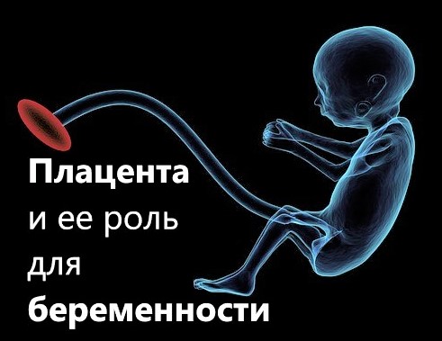 Image with missing alt attribute found on obstetrics.ucoz.org