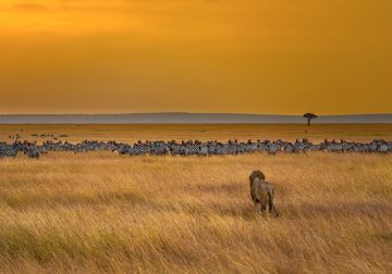 Image with missing alt attribute found on 121clicks.com