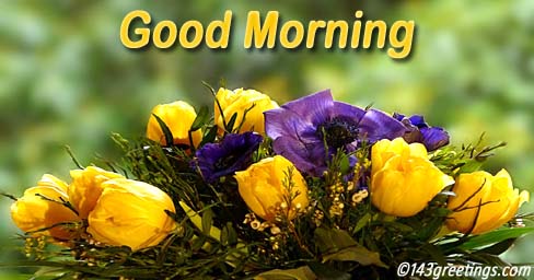 Send Good Morning Messages