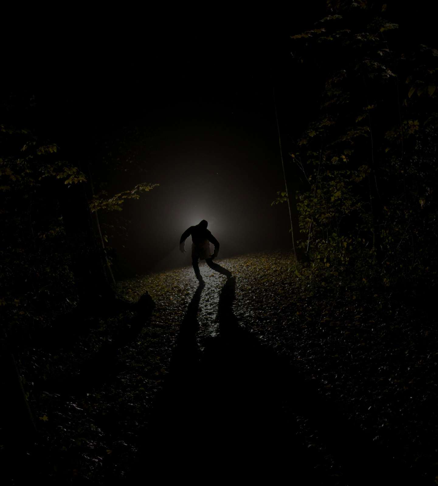 Image with missing alt attribute found on hauntpay.com