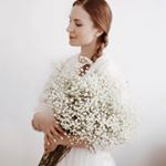 Image with missing alt attribute found on tijneyewear.com