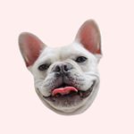 Image with missing alt attribute found on tijneyewear.com