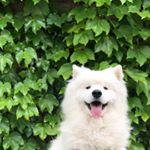 Image with missing alt attribute found on tijneyewear.com