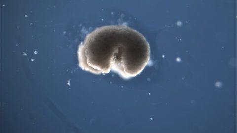 Image with missing alt attribute found on 24.hu