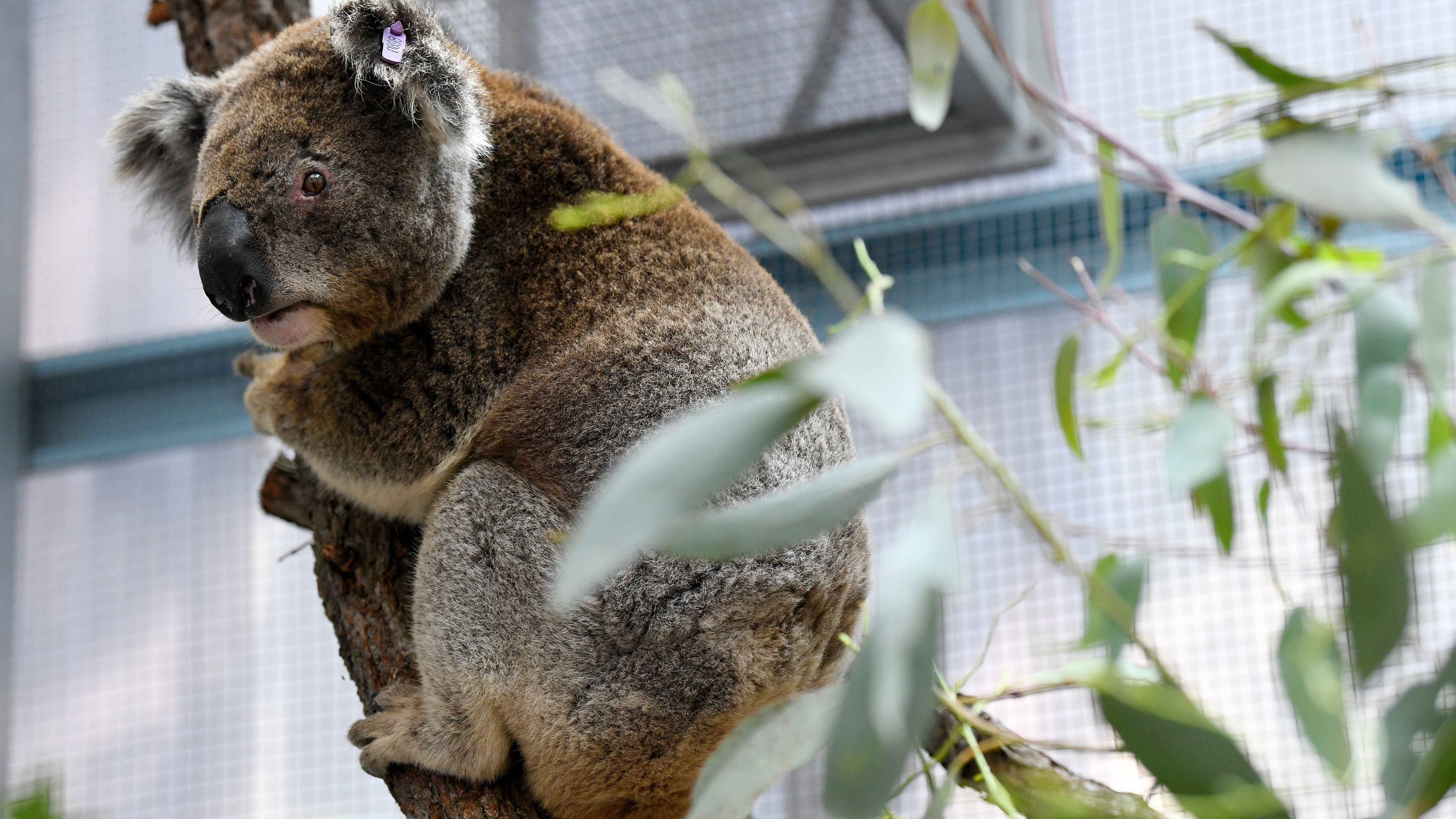 Image with missing alt attribute found on 24.hu