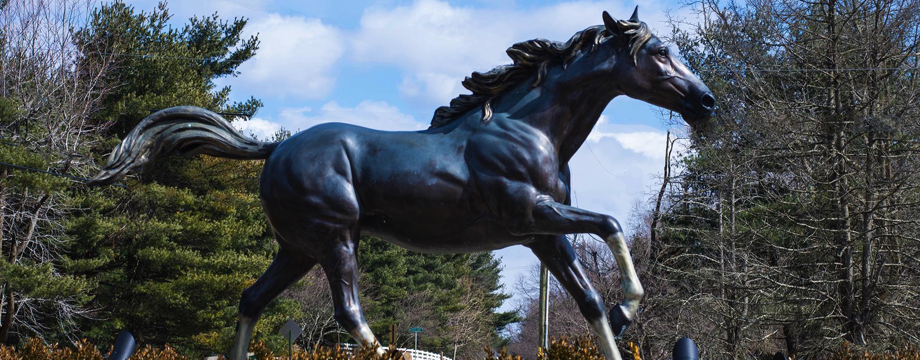 Image with missing alt attribute found on coltsneckschools.org