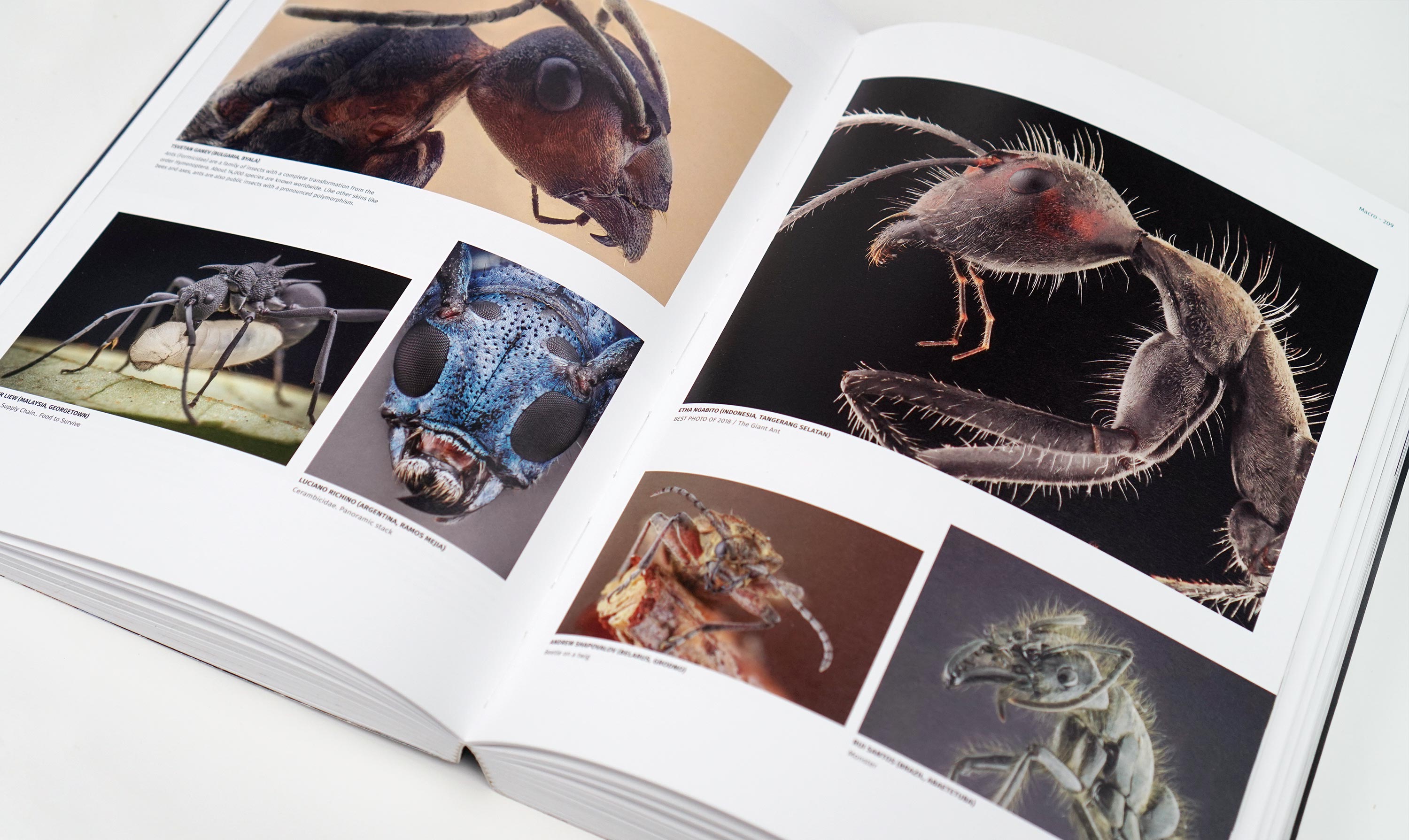 Image with missing alt attribute found on 35photo.pro